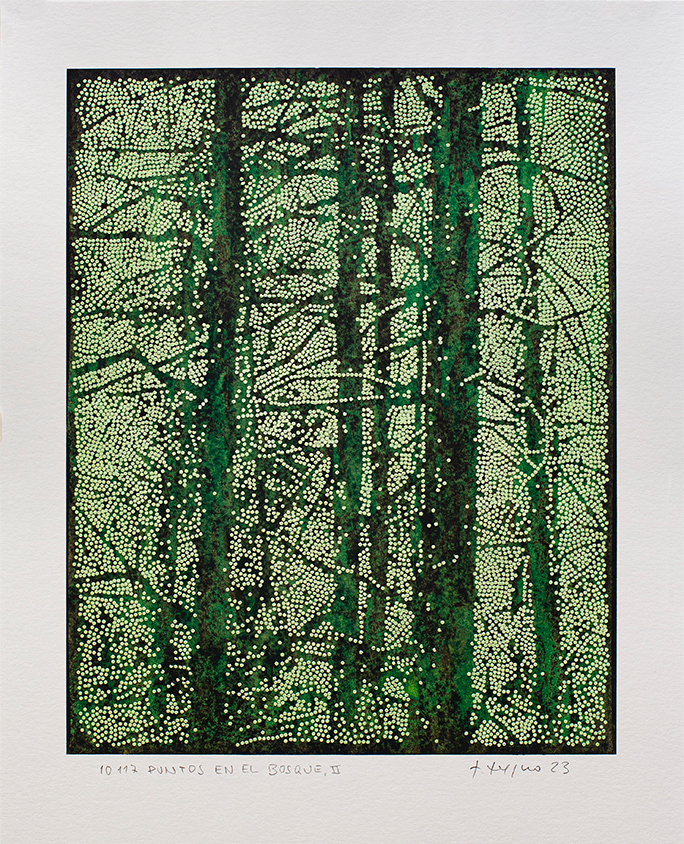 10.117 puntos en el bosque II, 2023