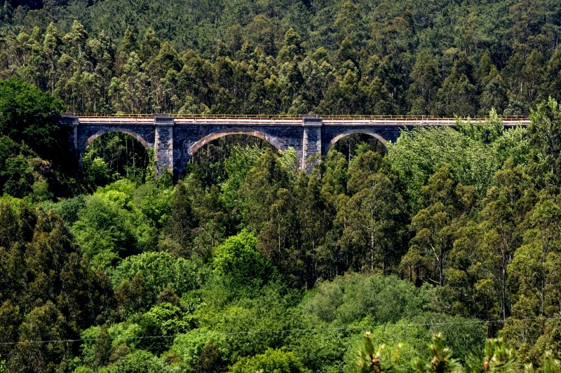 Puente de la línea ferroviaria en Tapia