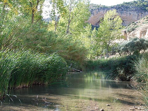 El valle del Martín.