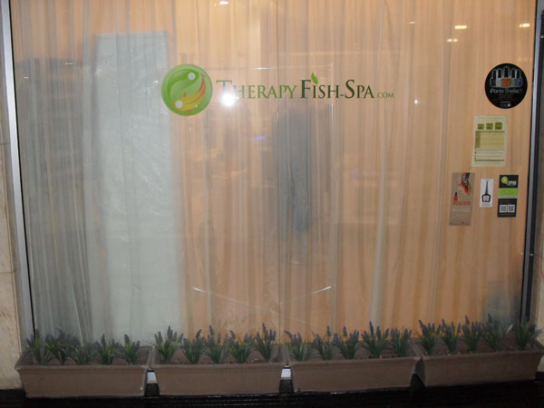 Therapyfish - Spa