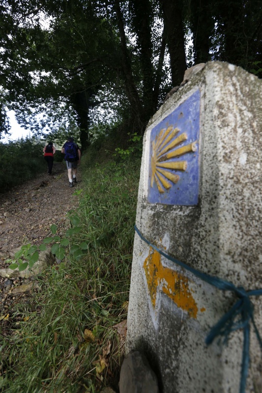 Un tramo del Camino Primitivo