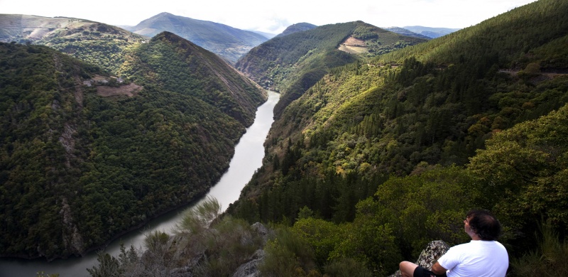 Peregrino obervando desde el mirador sobre el embalse de Grandas de Salime