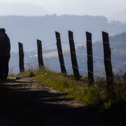 Peregrinos en la ruta de los hospitales