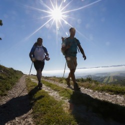 Peregrinos en la ruta de los hospitales