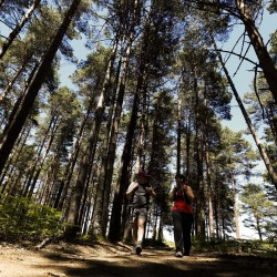 Peregrinos en la ruta de los hospitales