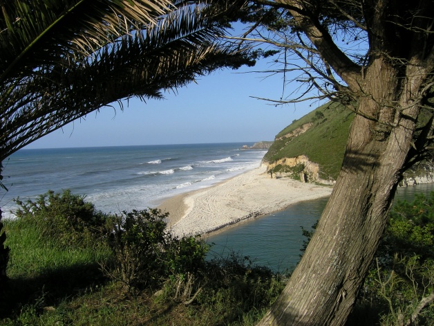 Foto Playa de San Antolín