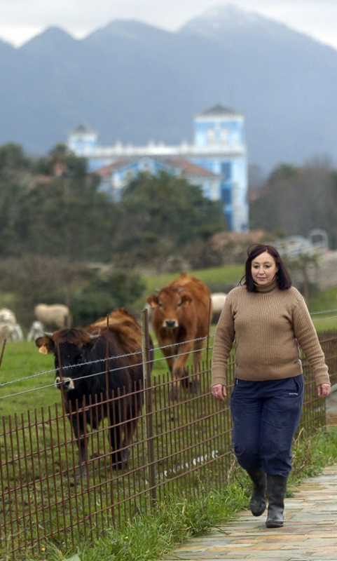 María Ángeles Borbolla, ganadera, en la senda de acceso a Colombres por el Camino de Santiago, con algunas de sus vacas a la izquierda y la Quinta Guadalupe, sede del Archivo de Indianos, al fondo.