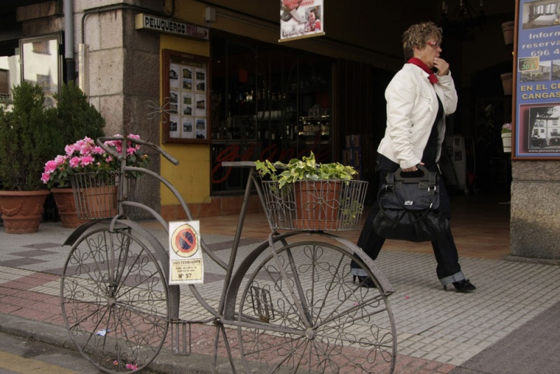 Una bicicleta convertida en macetero, frente al ayuntamiento.