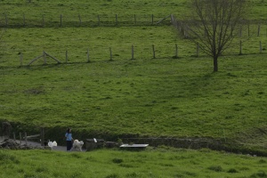 Foto Cangas de Onís