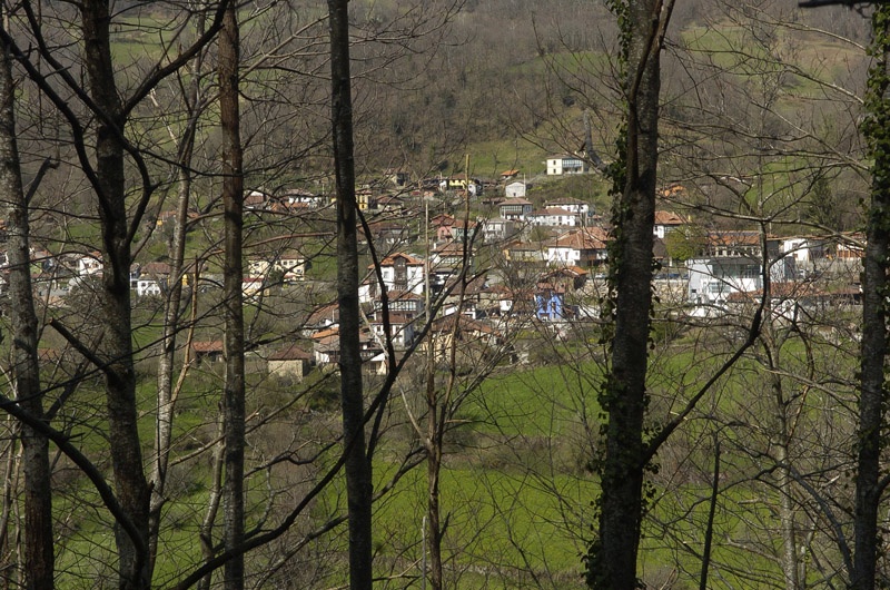 San Juan de Beleño, visto a través de unos troncos, desde la carretera de Abiegos.