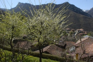 Foto San Juan de Beleño