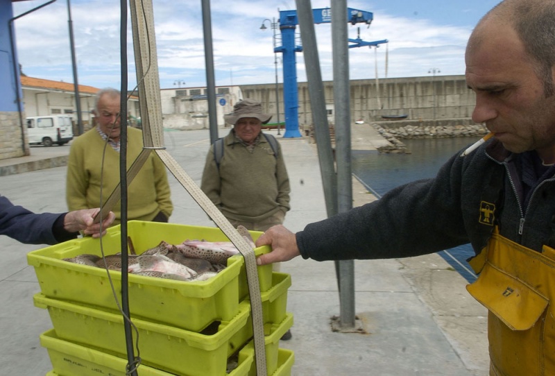 Desembarco de pescado en el puerto de Lastres.