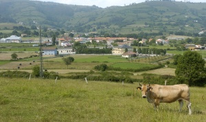 Foto Vega de Sariego