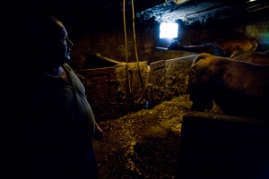 Foto Muros de Nalón