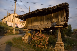 Foto San Román