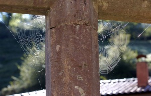 Foto La Plaza / San Martín