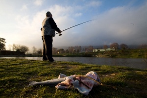 Foto Tineo