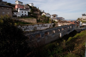 Foto Ortiguera