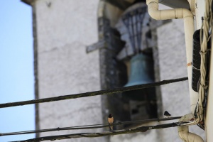 Foto Grandas de Salime