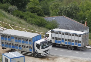 Foto Santa Eulalia de Oscos