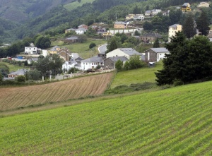 Foto Santa Eulalia de Oscos