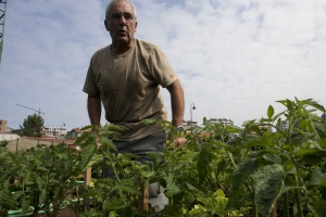 Foto Salinas