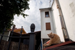 Foto Callezuela / La Peral