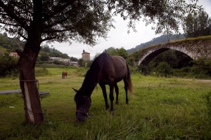 Foto Olloniego / Tudela Veguín