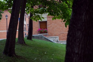 Foto Olloniego / Tudela Veguín