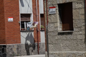 Foto Vega - La Camocha